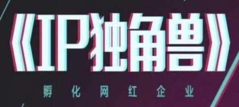IP独角兽，孵化网红企业，ip教程 