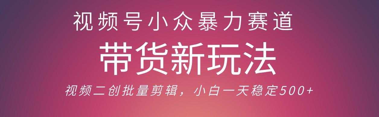 视频号小众暴力赛道，最新带货玩法 小白也能轻松日入500+ 保姆及教程