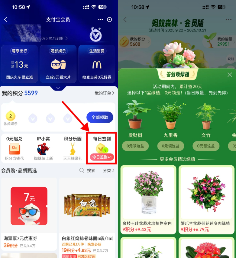 支付宝蚂蚁森林签20天领绿植