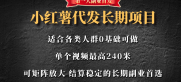 首发小红薯代发项目 单视频最高240可自刷可矩阵放大 