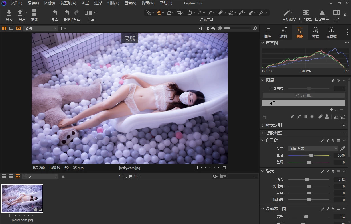 Capture One 23 RAW图像处理软件 v16.8.0.3565 中文破解版